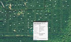 None Vacant, Merrill Township, MI